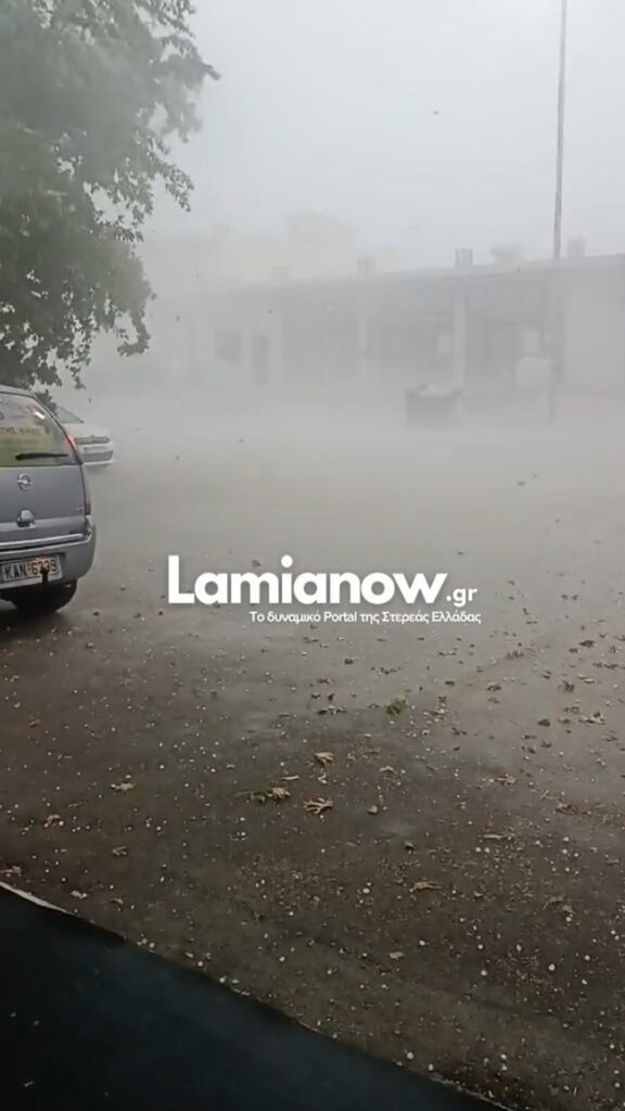 fotia bradi lamianow 1 1