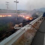 fotia lamia 10