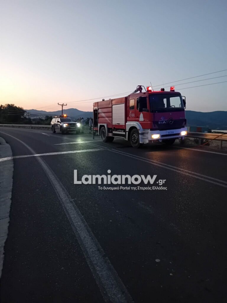 fotia lamia 12