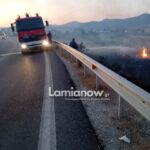 Πυροσβεστικά οχήματα και εναέρια μέσα επιχειρούν σε φωτιά στα Οινόφυτα