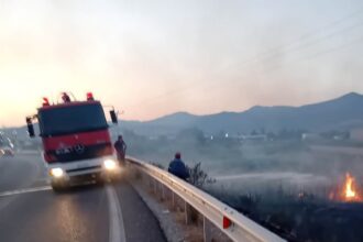 fotia lamia 6