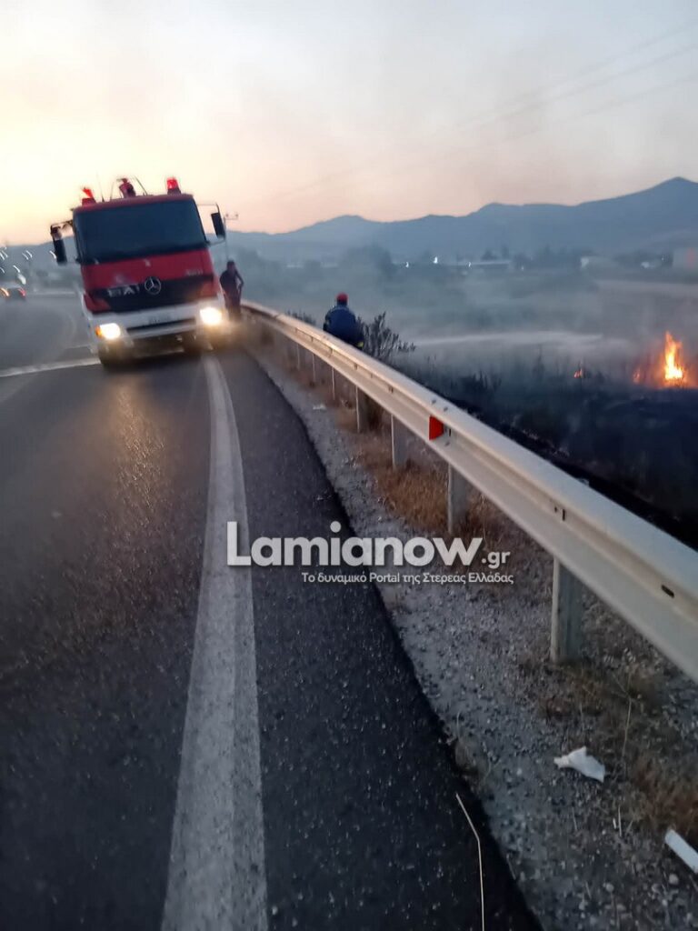 fotia lamia 6