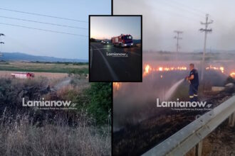 Πυροσβεστικά οχήματα επιχειρούν σε φωτιά κοντά στην έξοδο της Λαμίας, δίπλα σε πρατήριο καυσίμων