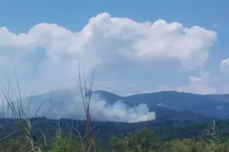 Πυροσβεστικά οχήματα και εναέρια μέσα επιχειρούν σε φωτιά κοντά στα Βασιλικά Κέρκυρας