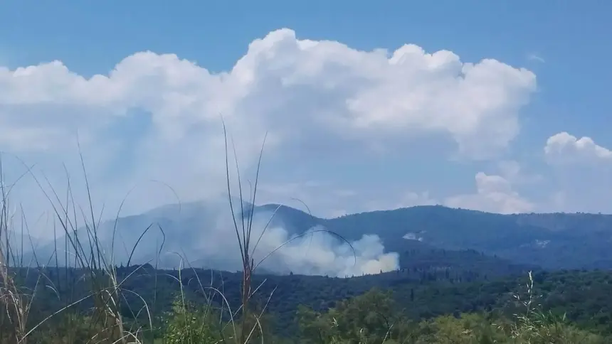Πυροσβεστικά οχήματα και εναέρια μέσα επιχειρούν σε φωτιά κοντά στα Βασιλικά Κέρκυρας