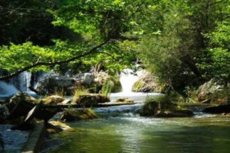gorgopotamos