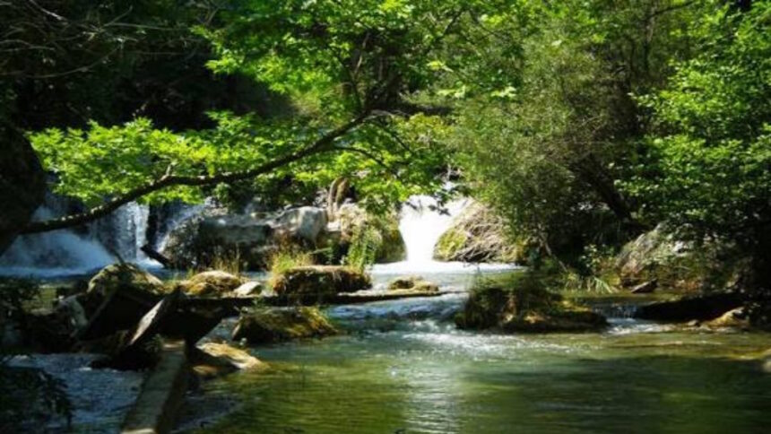 gorgopotamos