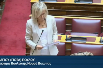 Καλλιέργειες μηδικής στη Βοιωτία με αγροτικό τοπίο της περιοχής
