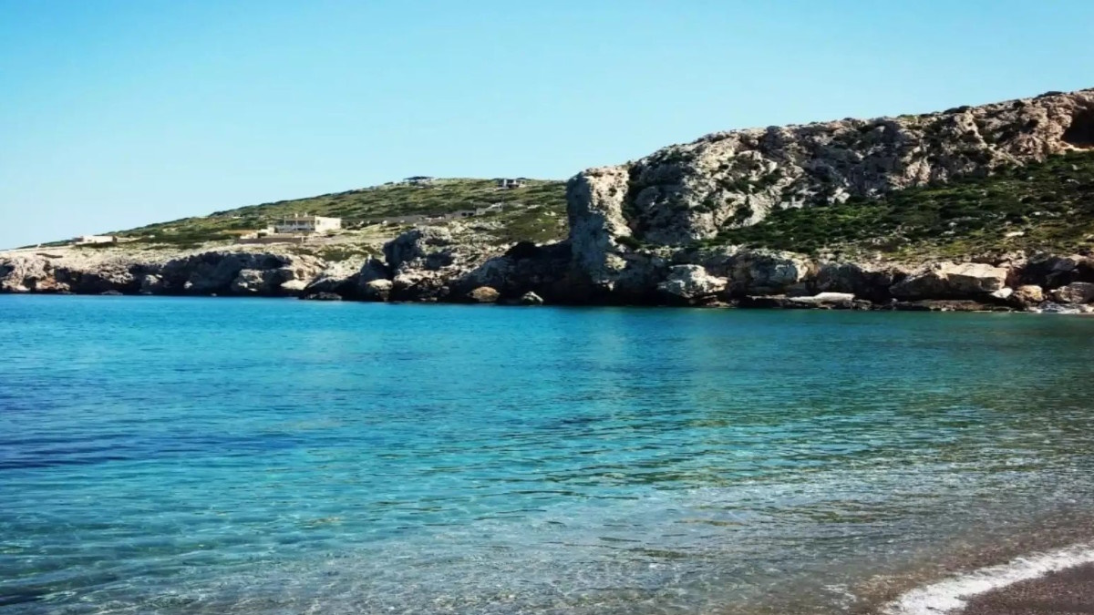 Καρχαρίας κοντά στην ακτογραμμή στις Κεχριές Κορινθίας