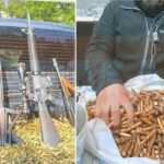 Φωτογραφίες με όπλα και φυσίγγια που αποδίδονται στη μαφία της Κρήτης