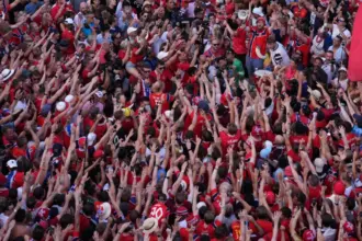 norway fans mkt