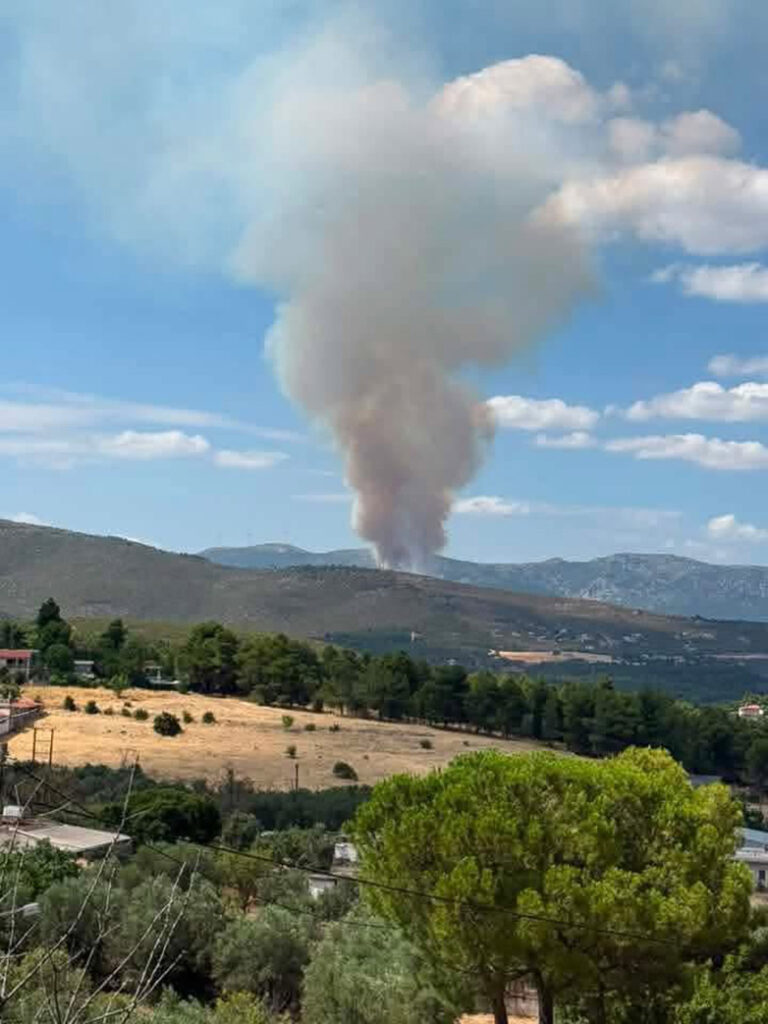 «Η φωτιά στην Οινόη μπορεί να ξεκίνησε από τσιγάρο που πετάχτηκε από αυτοκίνητο»,