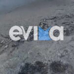 Χιλιάδες νεκρά ψάρια στην παραλία Μουρτερή στα Κόσκινα Ευβοίας