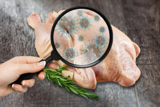 salmonela